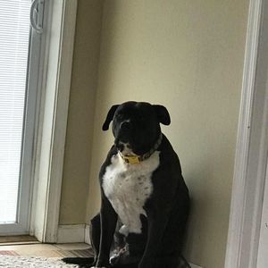 Meet your Posher, Robin